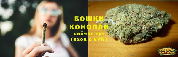 СК Аркадак