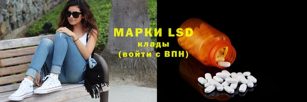 СК Аркадак