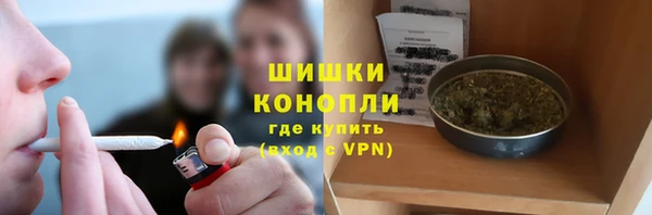 прущие крисы Пестово