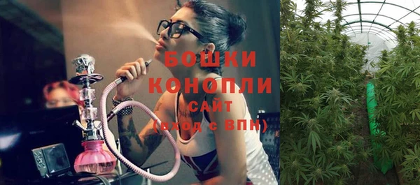 СК Аркадак