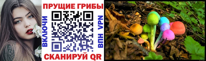 Галлюциногенные грибы мицелий  гидра как зайти  Байкальск 